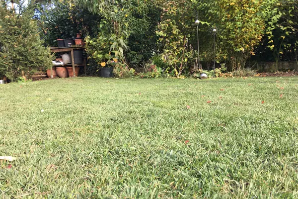 Rasen Pflege Im Herbst Vertikutieren Dungen Mahen